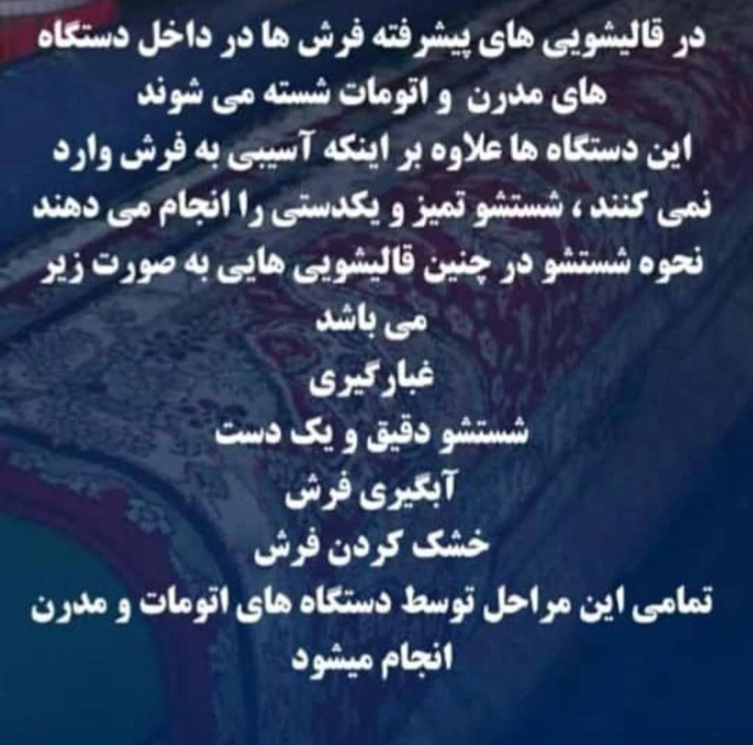 لکه‌برداری حرفه‌ای